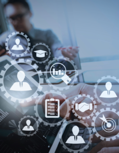 Digital Marketing Partner